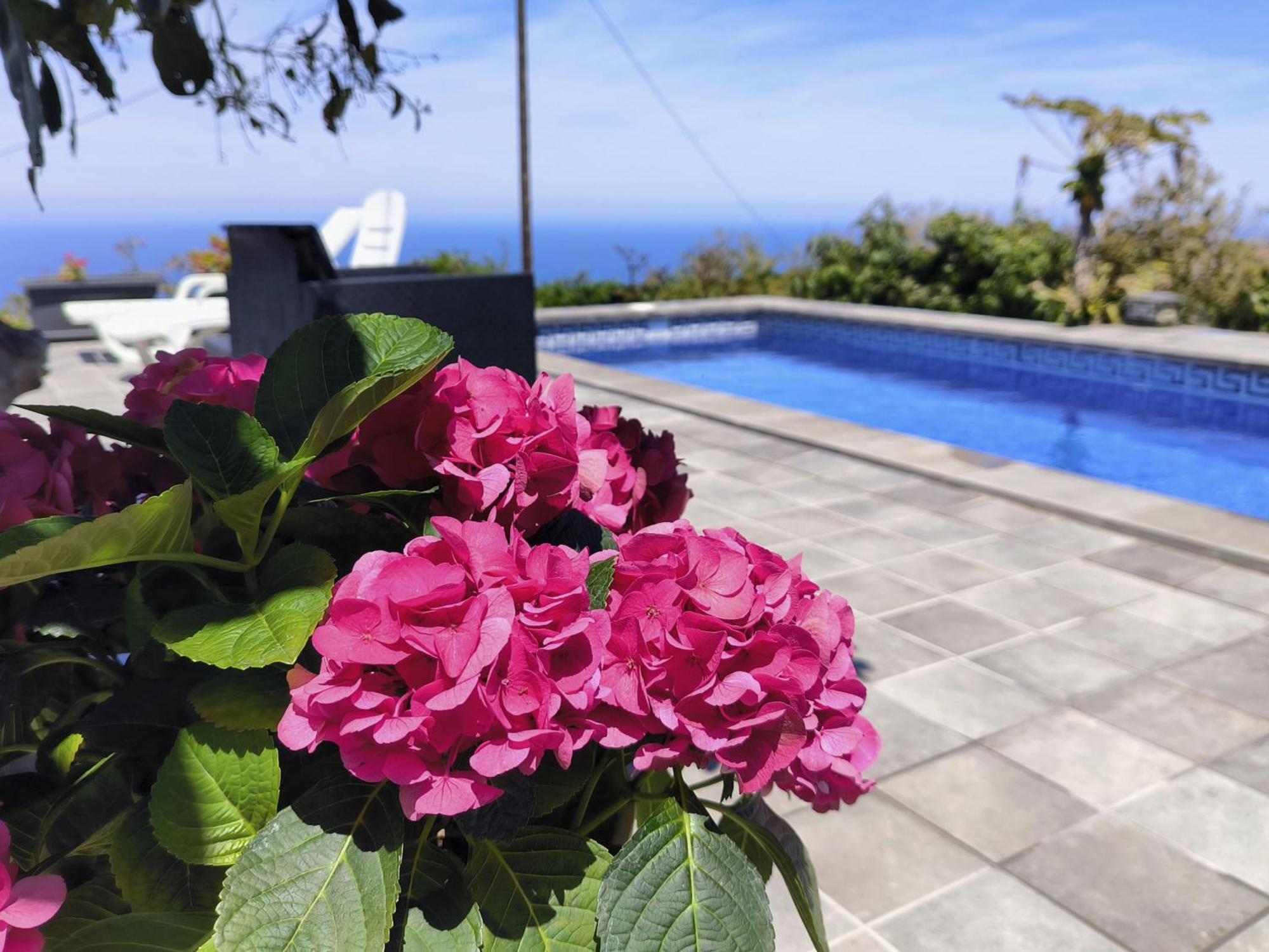 Apartamentos Guayonje Costa Santa Cruz de Tenerife Exterior foto