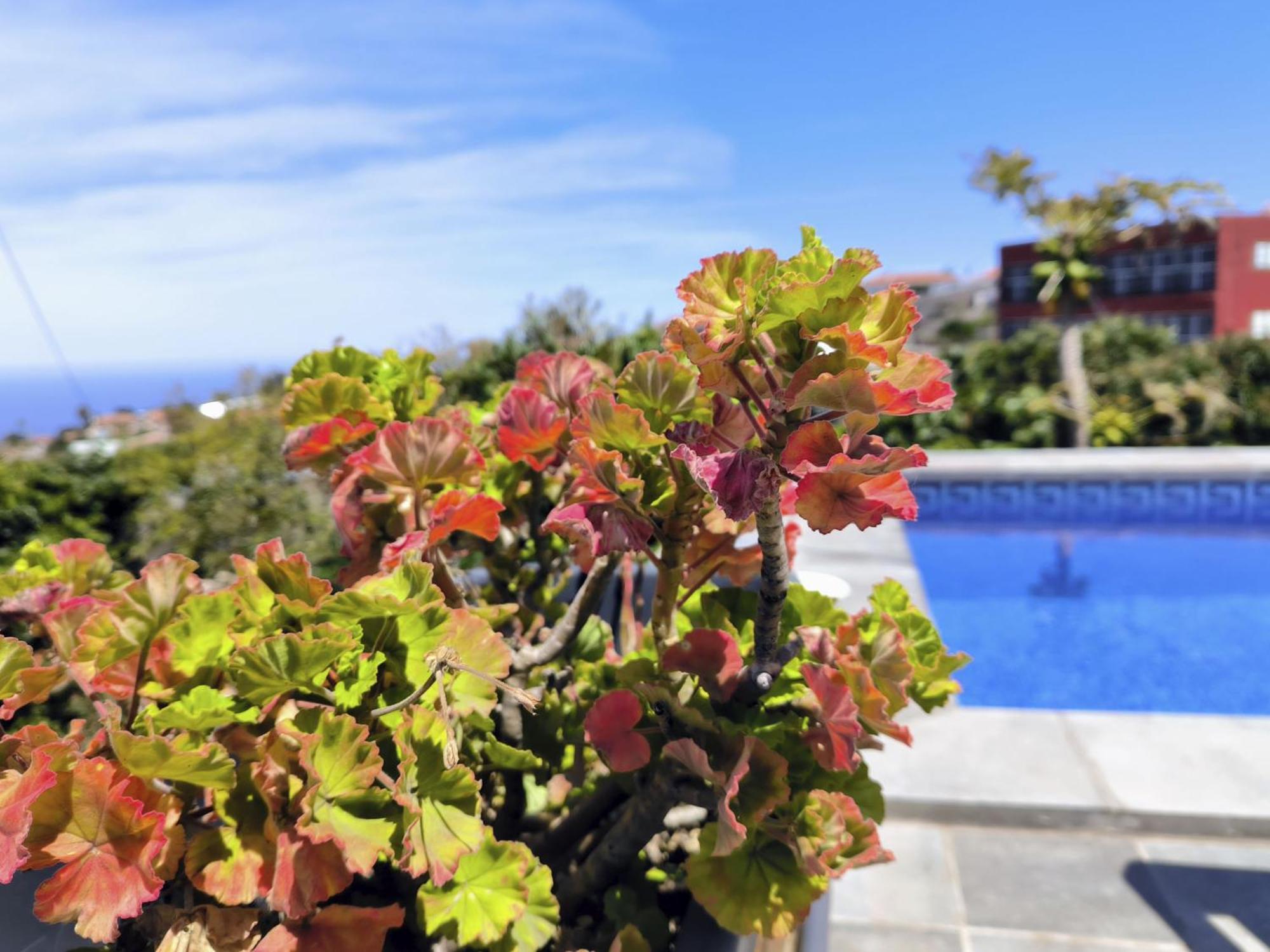 Apartamentos Guayonje Costa Santa Cruz de Tenerife Exterior foto